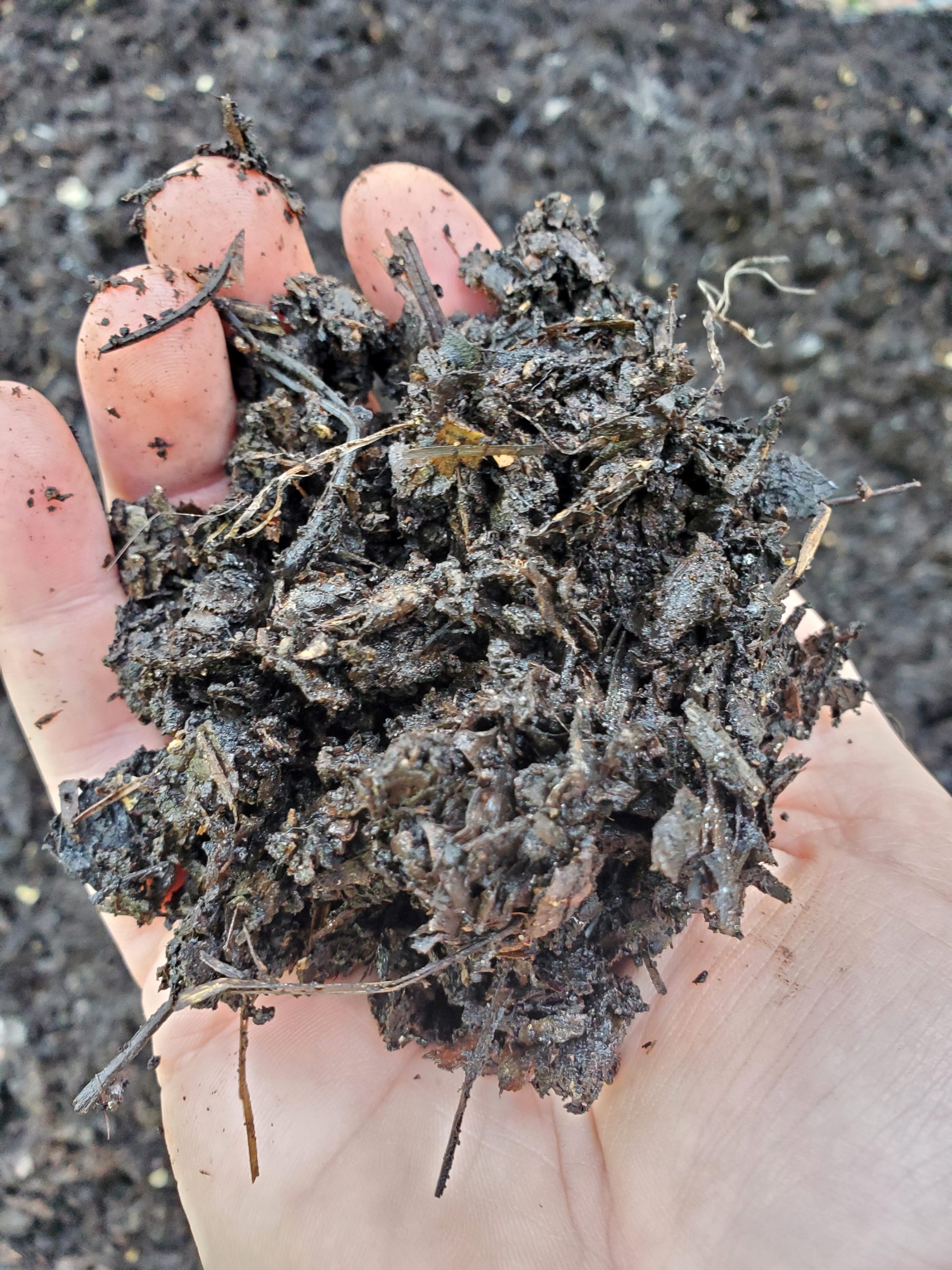 Services Greener Bay Compost